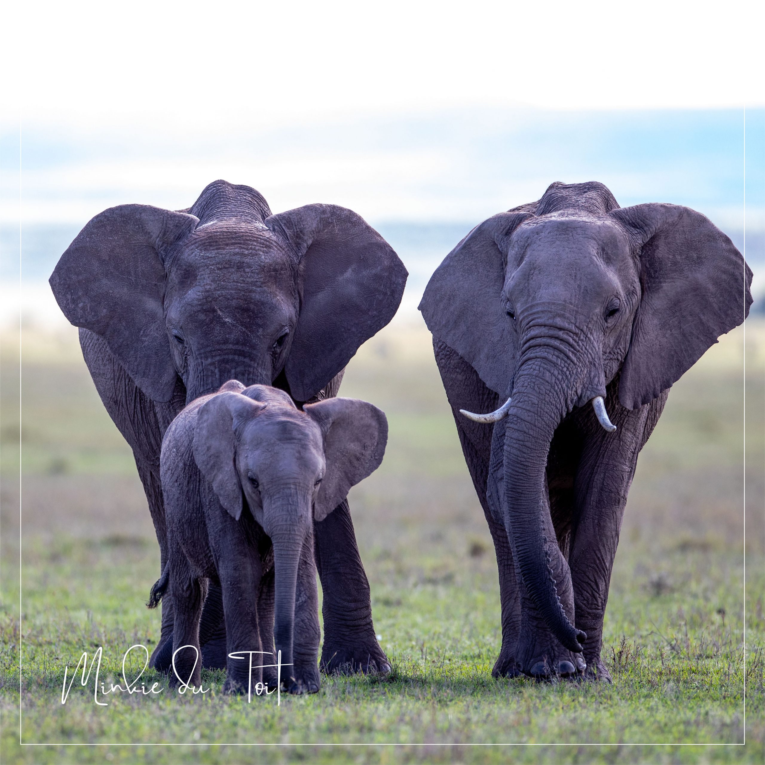 Waardevolle Kortpaaie om jou fotografie na die volgende vlak te neem in 2024