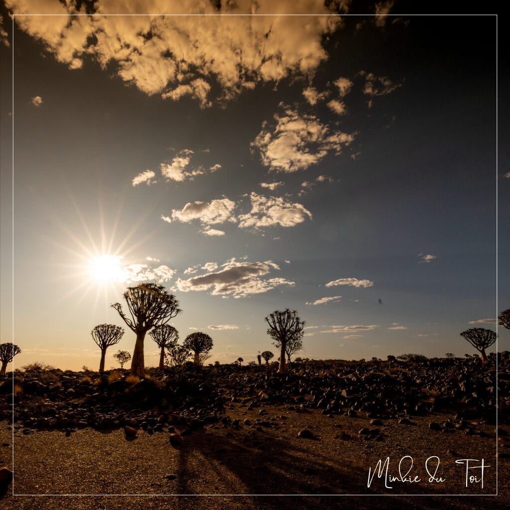 Ongeëwenaarde landskappe van Namibië, met sandduine en 'n asemrowende sonsopkoms.

