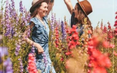 Is jy op Outopilot? Stop en Lees Hier!